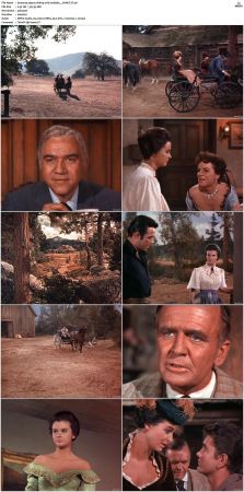 Bonanza S01 14 DVDRip XviD x264-SCENE