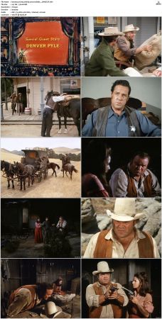 Bonanza S01-S14 DVDRip XviD x264-SCENE