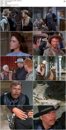 Bonanza S01-S14 DVDRip XviD x264-SCENE