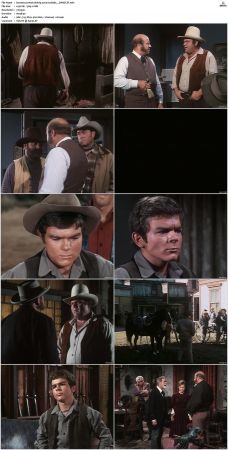 Bonanza S01-S14 DVDRip XviD x264-SCENE