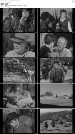 Wagon Train S01-S08 DVDRip XviD-cOOt