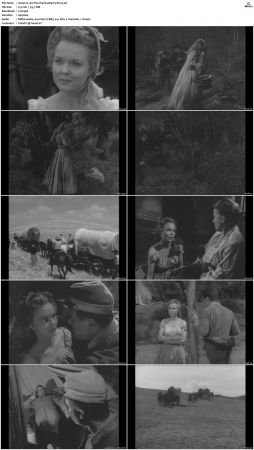 Wagon Train S01-S08 DVDRip XviD-cOOt