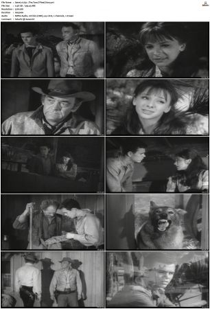 Wagon Train S01-S08 DVDRip XviD-cOOt