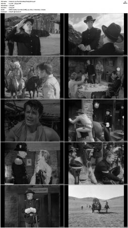 Wagon Train S01 S08 DVDRip XviD-cOOt