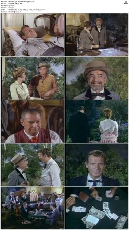 Wagon Train S01-S08 DVDRip XviD-cOOt