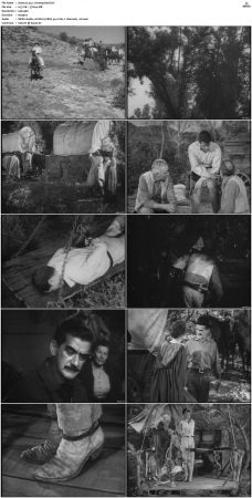 Wagon Train S01-S08 DVDRip XviD-cOOt
