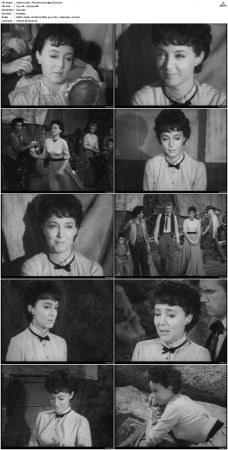 Wagon Train S01-S08 DVDRip XviD-cOOt