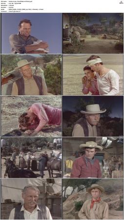 Wagon Train S01-S08 DVDRip XviD-cOOt