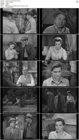 Wagon Train S01-S08 DVDRip XviD-cOOt