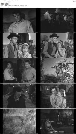 Wagon Train S01-S08 DVDRip XviD-cOOt