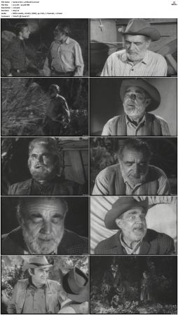 Wagon Train S01-S08 DVDRip XviD-cOOt