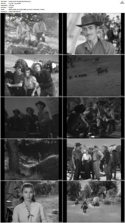 Wagon Train S01 S08 DVDRip XviD-cOOt