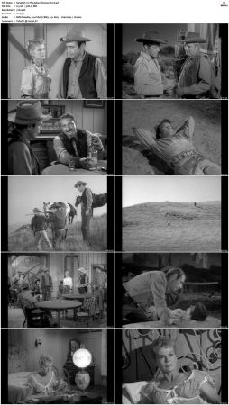Wagon Train S01 S08 DVDRip XviD-cOOt