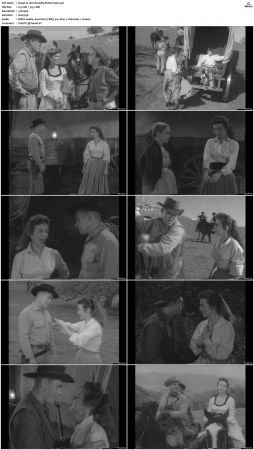 Wagon Train S01-S08 DVDRip XviD-cOOt