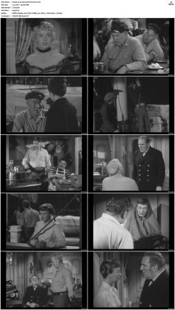 Wagon Train S01-S08 DVDRip XviD-cOOt
