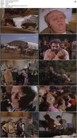 Wagon Train S01-S08 DVDRip XviD-cOOt