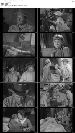 Wagon Train S01-S08 DVDRip XviD-cOOt