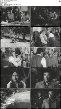 Wagon Train S01-S08 DVDRip XviD-cOOt