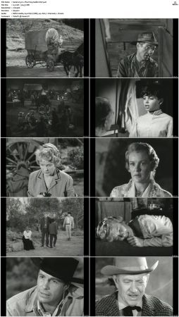 Wagon Train S01-S08 DVDRip XviD-cOOt