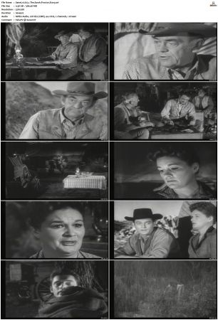 Wagon Train S01-S08 DVDRip XviD-cOOt
