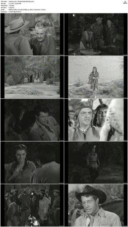 Wagon Train S01-S08 DVDRip XviD-cOOt