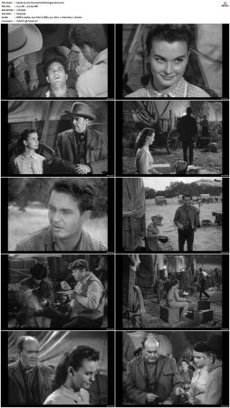 Wagon Train S01-S08 DVDRip XviD-cOOt