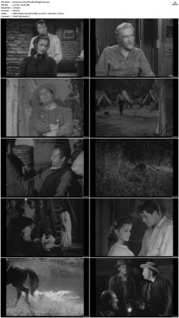 Wagon Train S01-S08 DVDRip XviD-cOOt