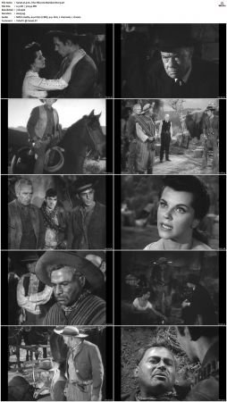 Wagon Train S01-S08 DVDRip XviD-cOOt