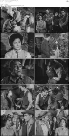 Wagon Train S01-S08 DVDRip XviD-cOOt