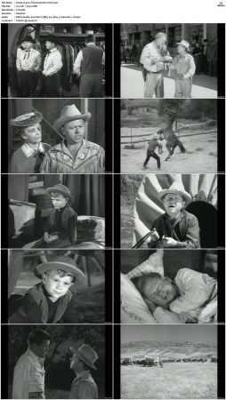 Wagon Train S01-S08 DVDRip XviD-cOOt