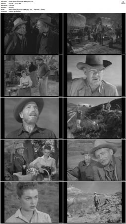 Wagon Train S01-S08 DVDRip XviD-cOOt