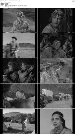 Wagon Train S01 S08 DVDRip XviD-cOOt