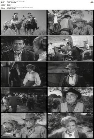 Wagon Train S01-S08 DVDRip XviD-cOOt