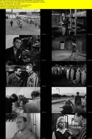 The Boxer and Death 1963 1080p BRRip x264-Classics