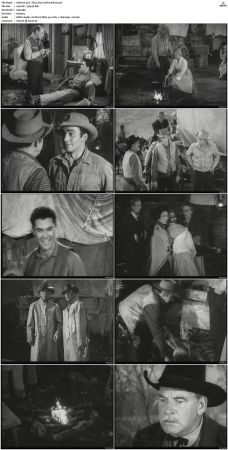 Wagon Train S01-S08 DVDRip XviD-cOOt