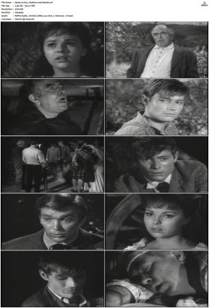 Wagon Train S01-S08 DVDRip XviD-cOOt