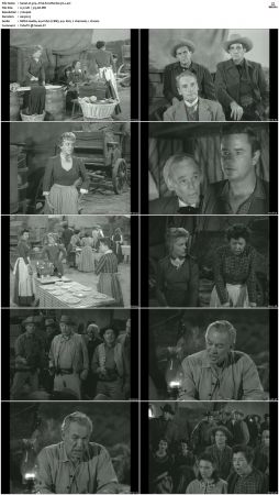 Wagon Train S01-S08 DVDRip XviD-cOOt