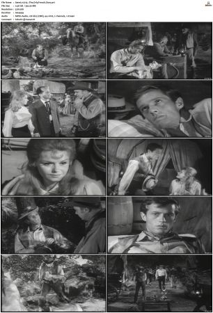 Wagon Train S01-S08 DVDRip XviD-cOOt