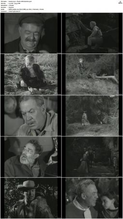 Wagon Train S01-S08 DVDRip XviD-cOOt