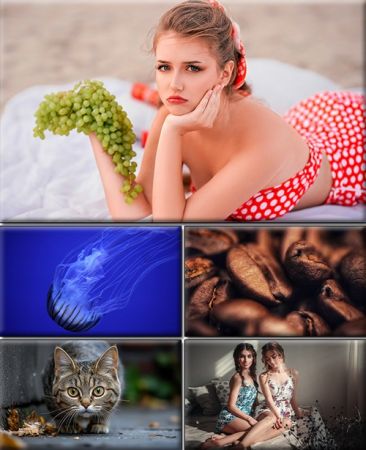 Computer Desktop Wallpapers Collection. Part (2996)