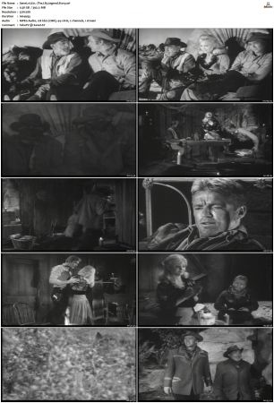 Wagon Train S01-S08 DVDRip XviD-cOOt