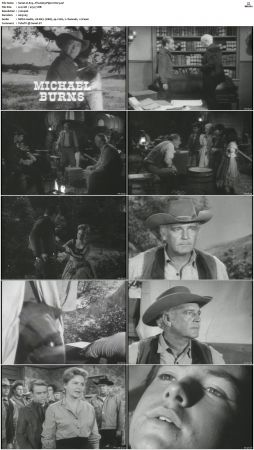 Wagon Train S01-S08 DVDRip XviD-cOOt