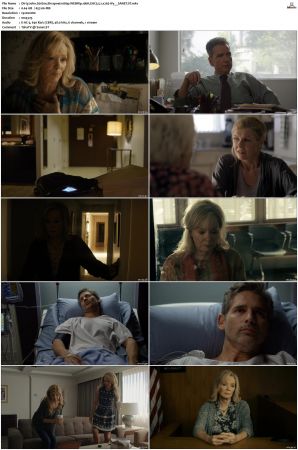 Dirty John 2018 S01 S02 1080p WEBRip 10bit EAC3 5 1 x265-iVy