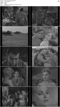 Wagon Train S01-S08 DVDRip XviD-cOOt