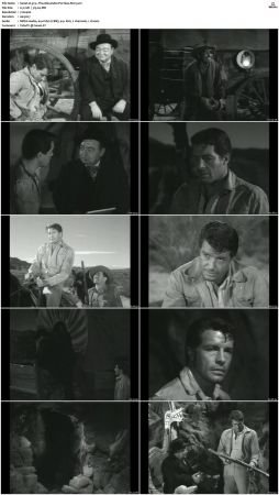 Wagon Train S01-S08 DVDRip XviD-cOOt