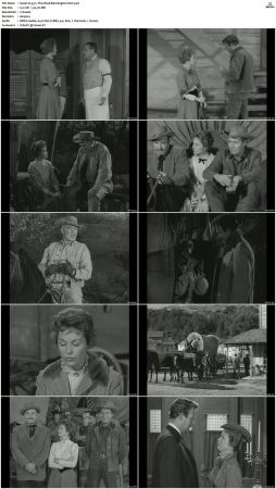 Wagon Train S01-S08 DVDRip XviD-cOOt