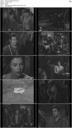 Wagon Train S01-S08 DVDRip XviD-cOOt