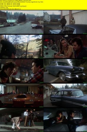 Joyride 1977 1080p BluRay x264-OFT