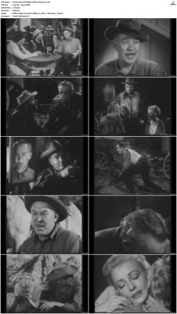 Wagon Train S01-S08 DVDRip XviD-cOOt