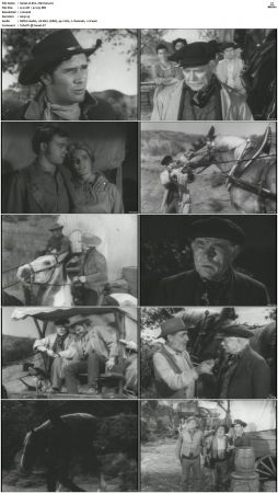 Wagon Train S01-S08 DVDRip XviD-cOOt